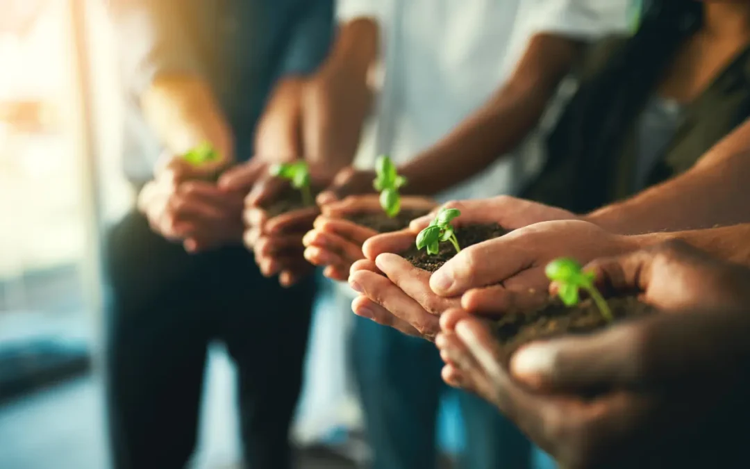Wachsen in der Nachfolge